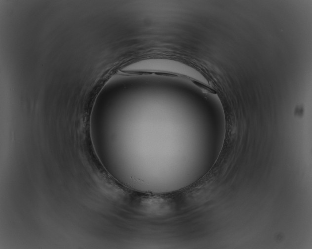 X0000091450759200708301810
