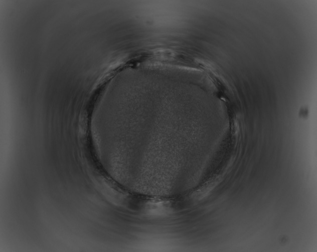 X0000091450760200708301810