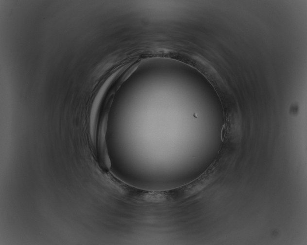 X0000091450762200708301810