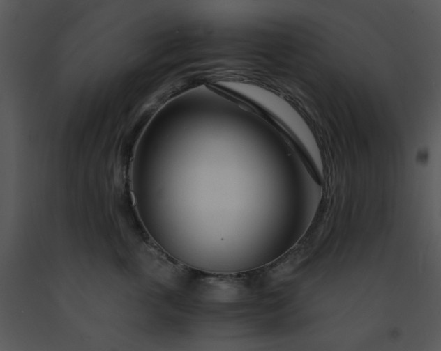 X0000091450763200708301810