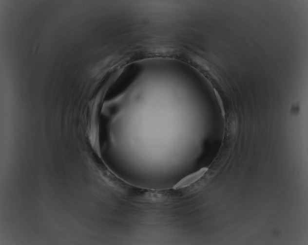 X0000091450764200708301810