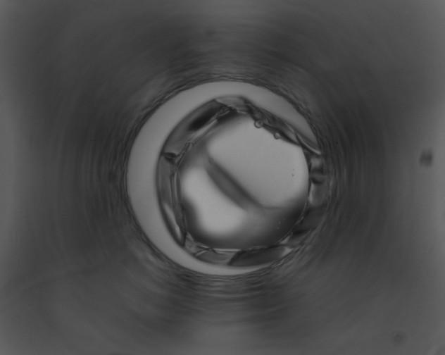 X0000091450766200708301810