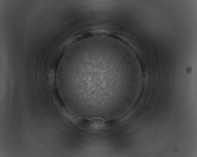 X0000091450767200708301810