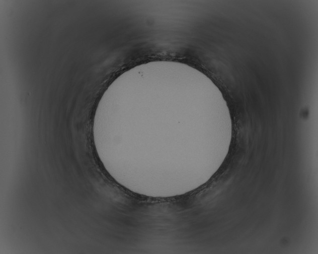 X0000091450769200708301809