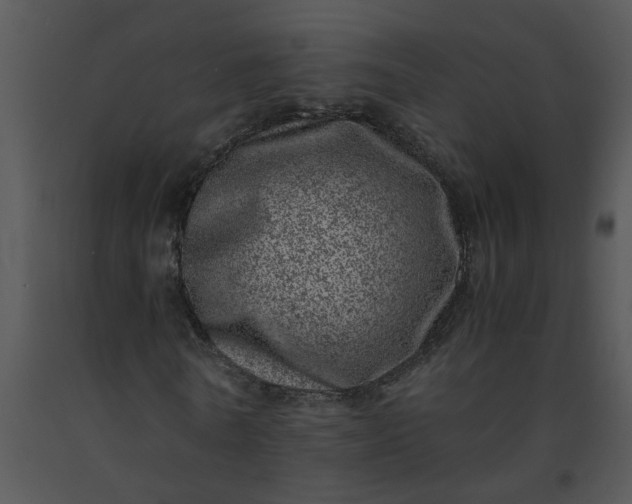 X0000091450770200708301809
