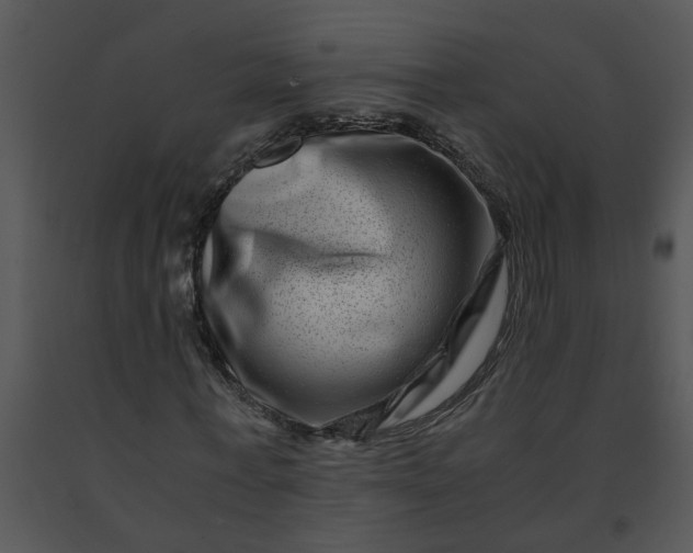 X0000091450771200708301809
