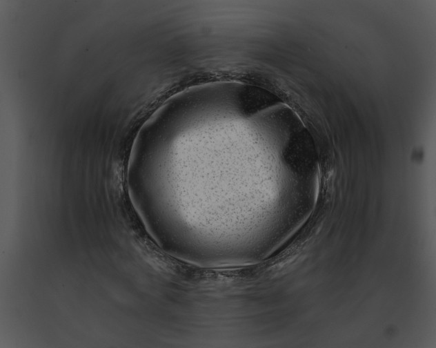 X0000091450772200708301809
