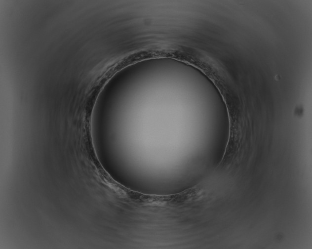 X0000091450773200708301809