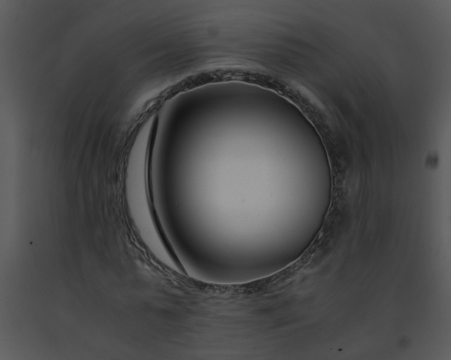 X0000091450775200708301809