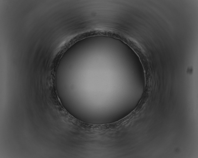 X0000091450776200708301809