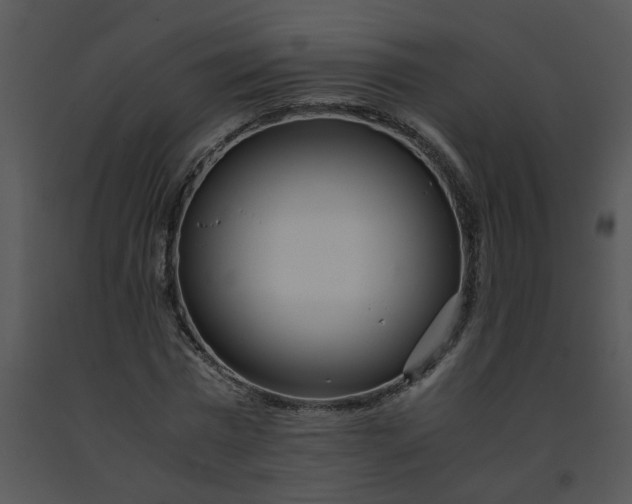 X0000091450777200708301809