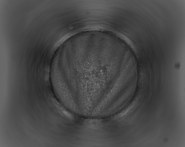 X0000091450778200708301809