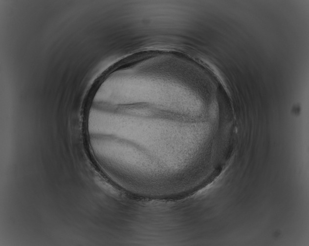 X0000091450779200708301809