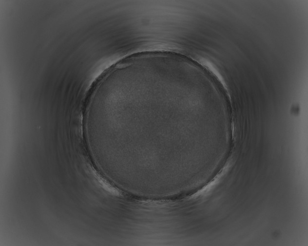 X0000091450781200708301809