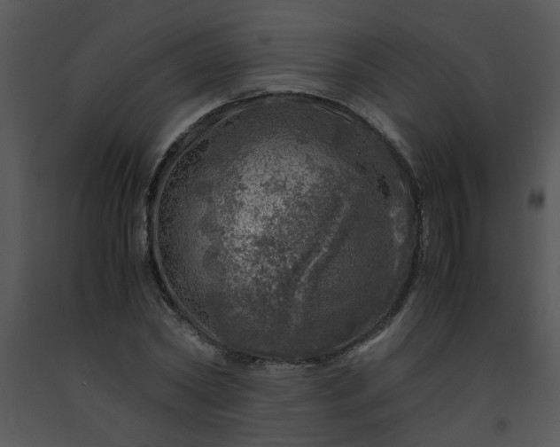 X0000091450782200708301809