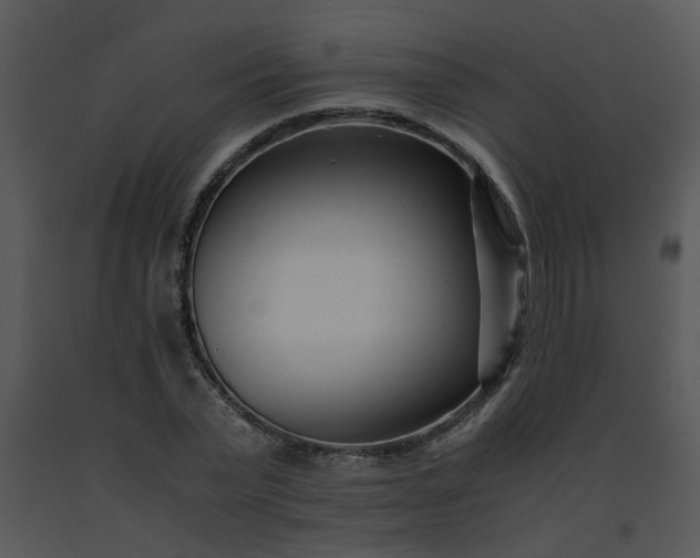 X0000091450783200708301809