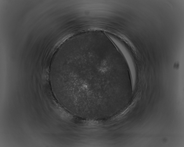 X0000091450785200708301809