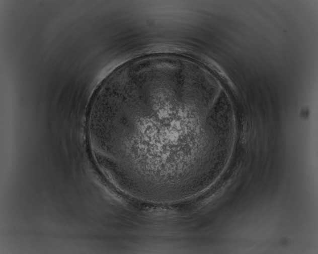 X0000091450786200708301809