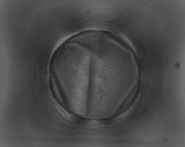 X0000091450787200708301809