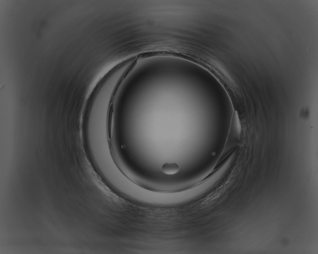 X0000091450788200708301809