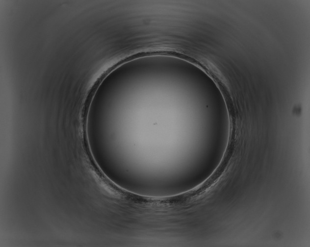 X0000091450789200708301809