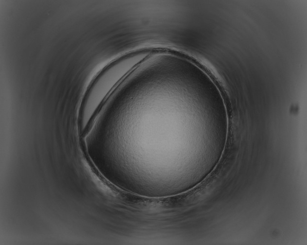 X0000091450791200708301809