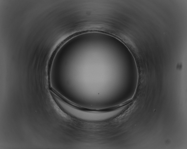 X0000091450792200708301809