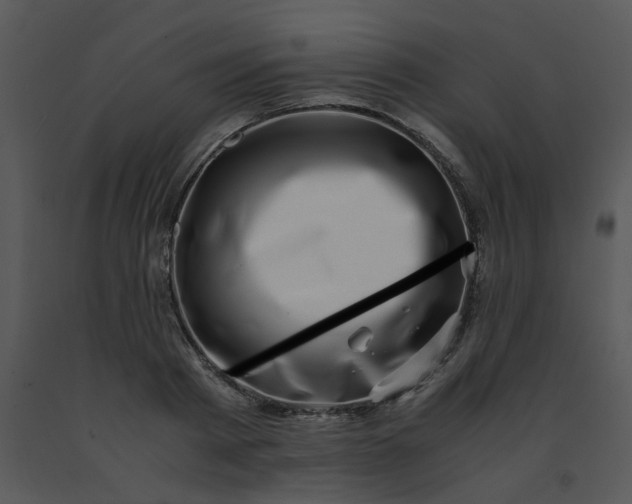 X0000091450793200708301809