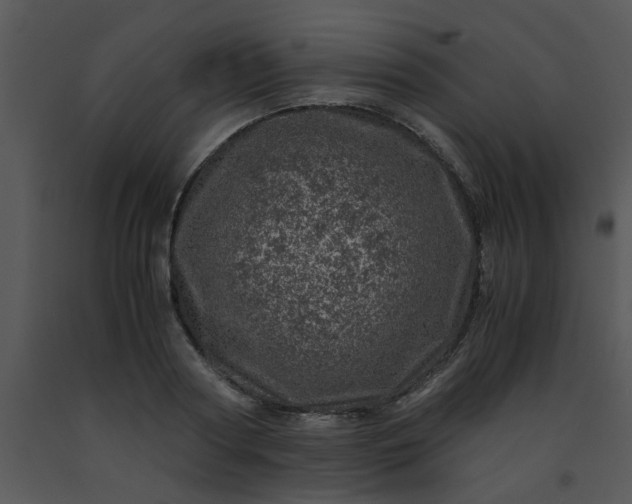 X0000091450794200708301809