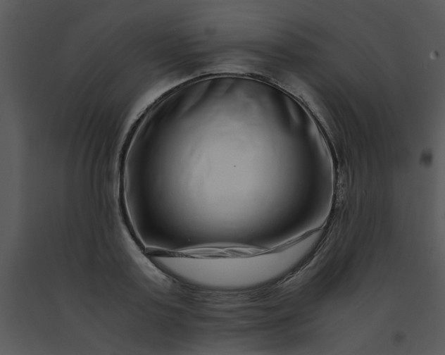 X0000091450795200708301809