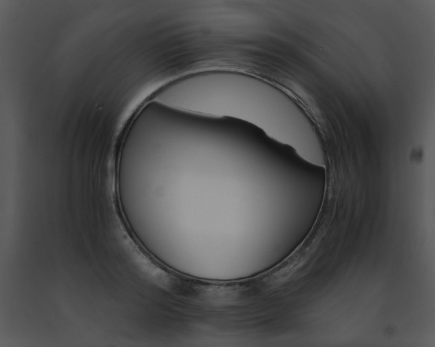 X0000091450796200708301809