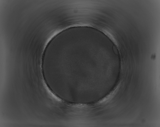 X0000091450797200708301809