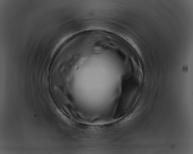 X0000091450799200708301809