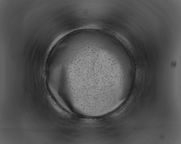 X0000091450800200708301809