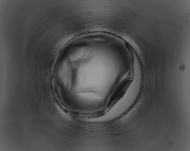 X0000091450801200708301809