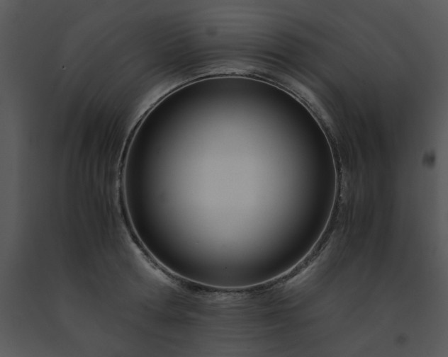 X0000091450802200708301809