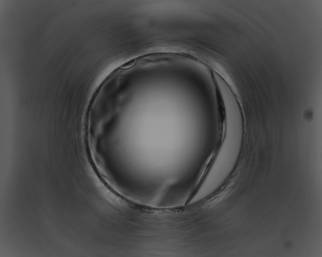 X0000091450803200708301809