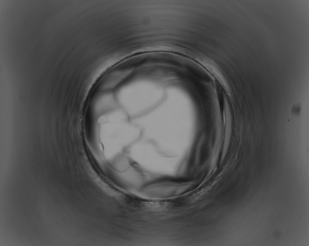 X0000091450805200708301809