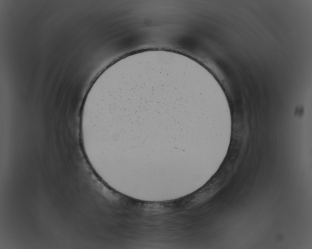 X0000091450807200708301809
