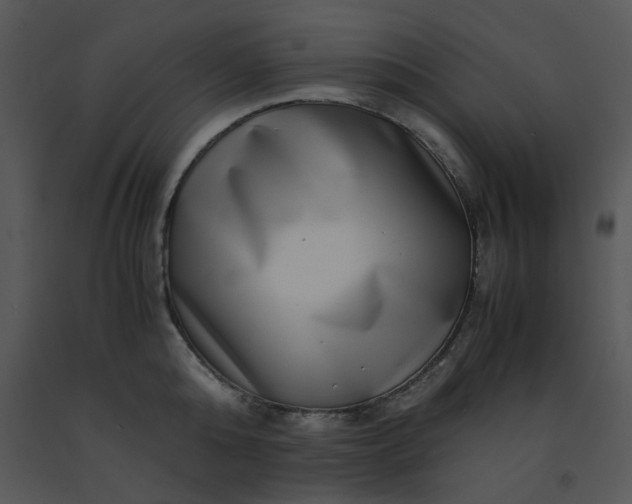 X0000091450808200708301809