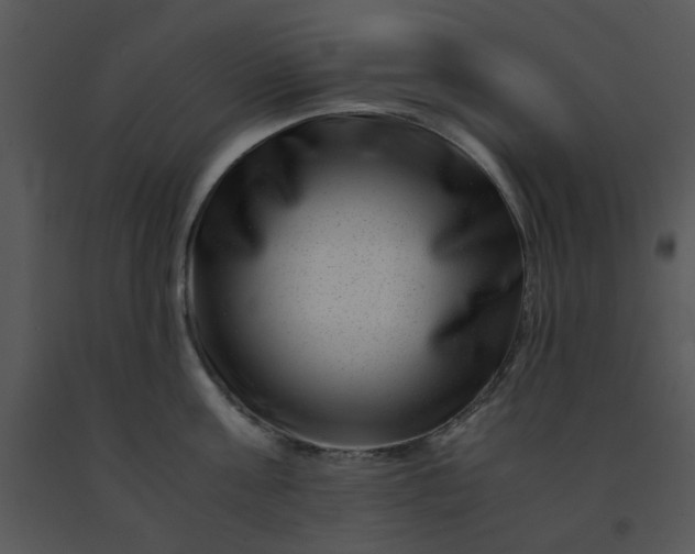 X0000091450811200708301809