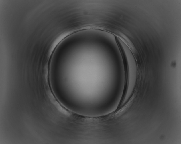 X0000091450812200708301809