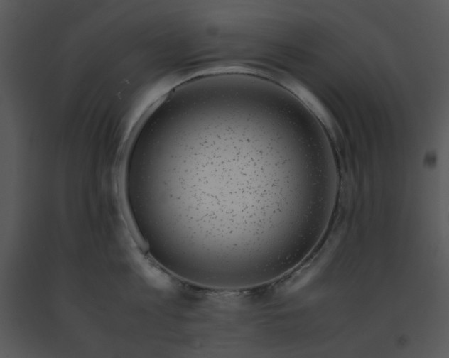 X0000091450813200708301809