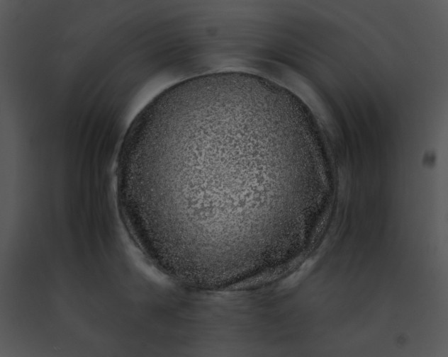 X0000091450814200708301809