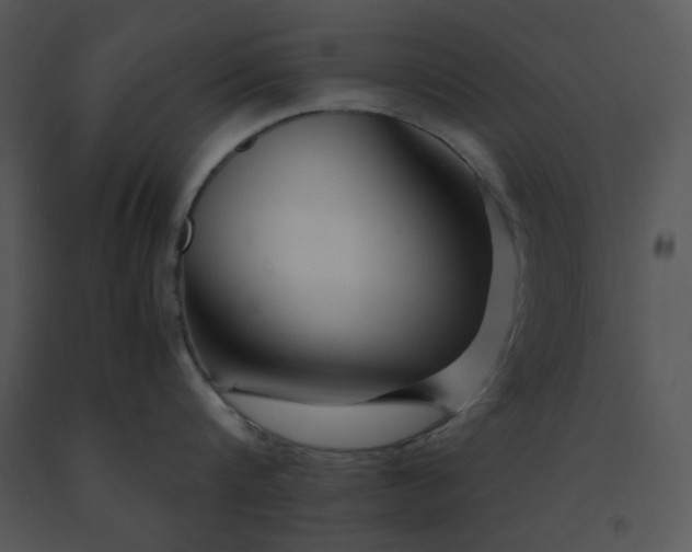 X0000091450816200708301808