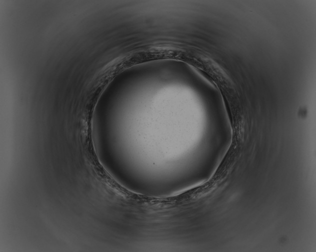 X0000091450821200708301808