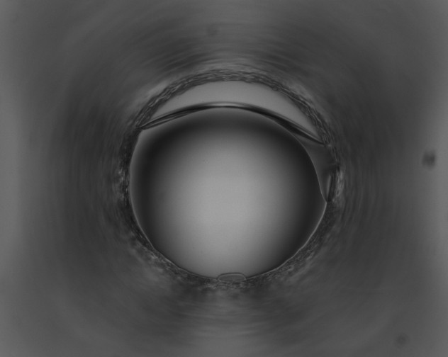 X0000091450822200708301808