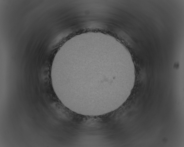 X0000091450824200708301808