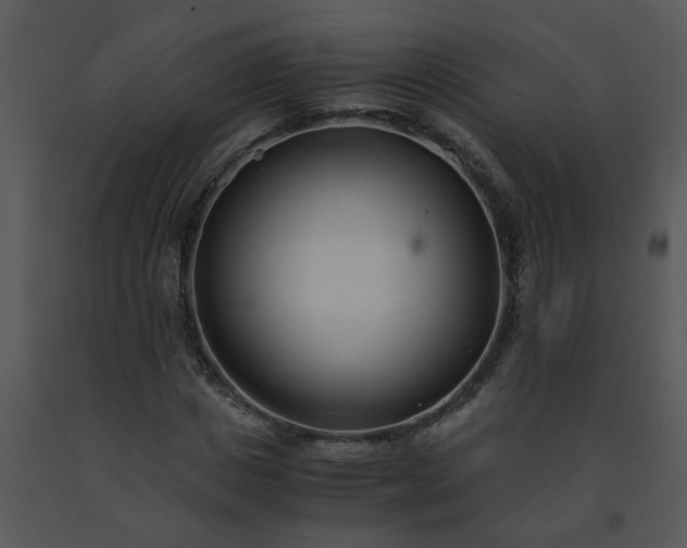 X0000091450825200708301808