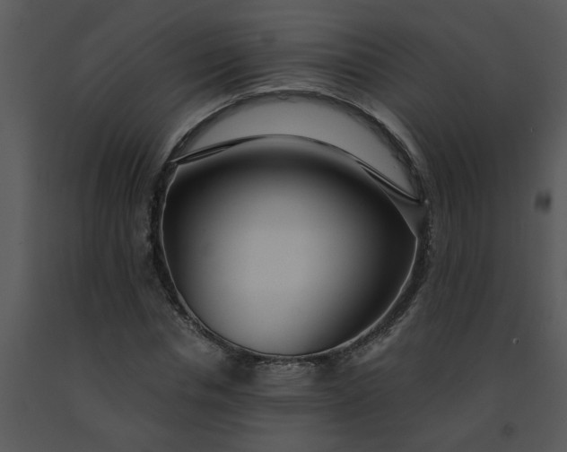 X0000091450826200708301808